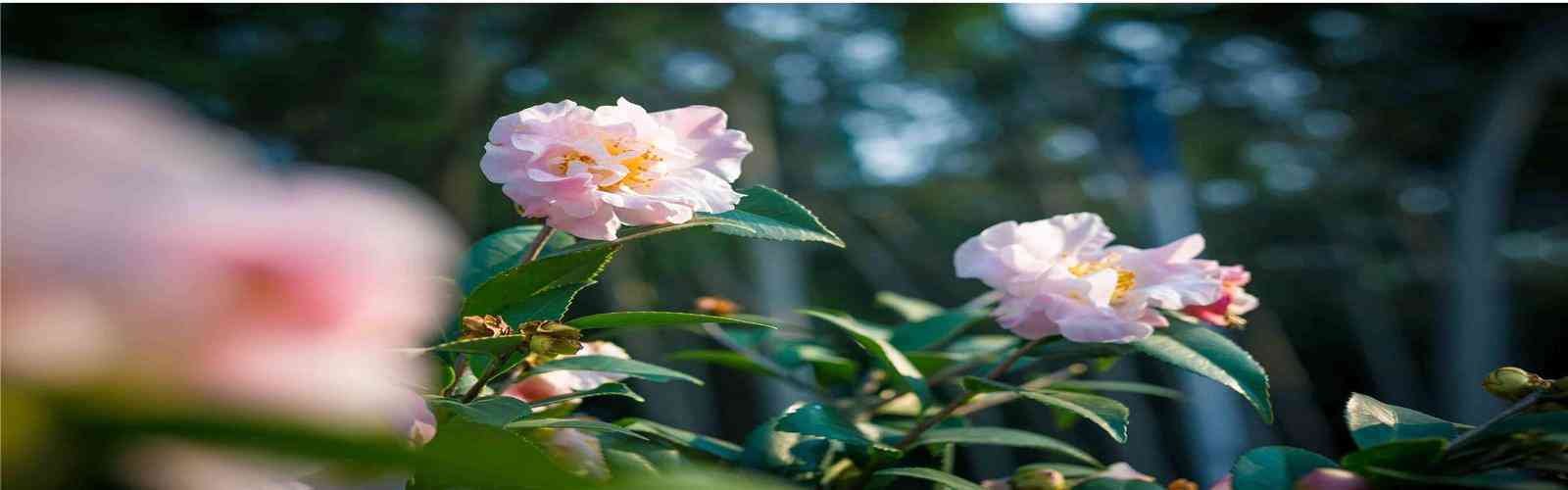 67381cm.顶级游戏