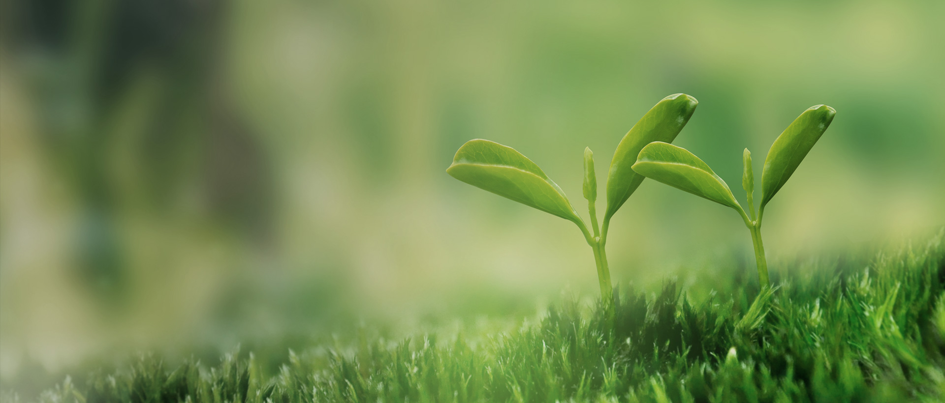 低碳城市建设运营，，，，新兴科技产业发展