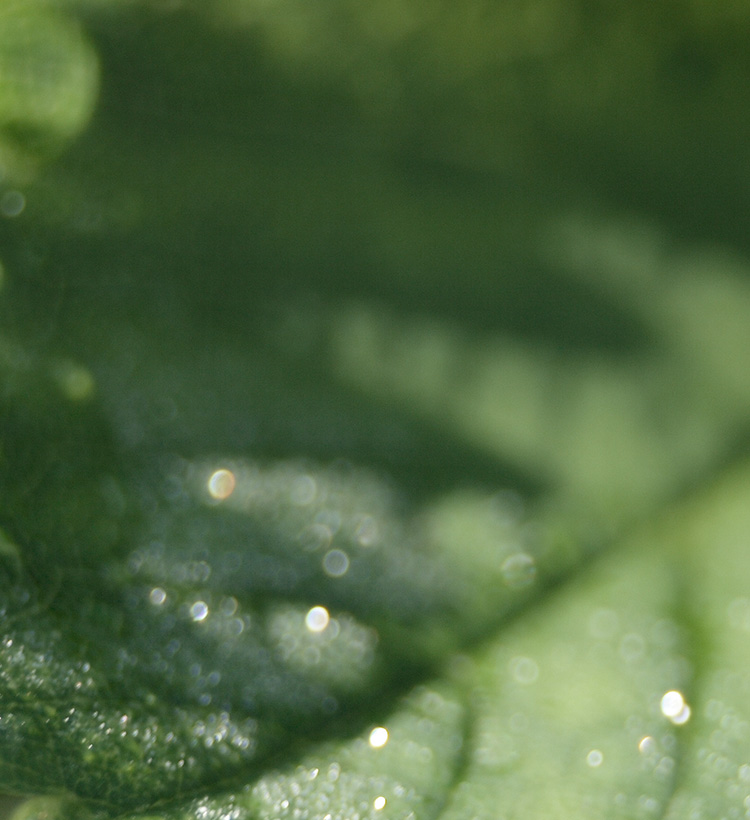 低碳城市建设运营，，，新兴科技产业发展